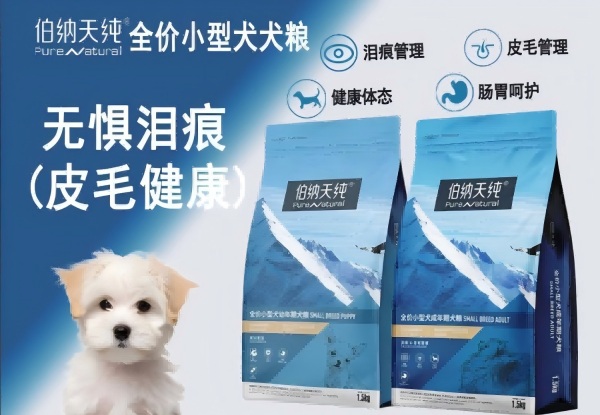 宠物行业案例